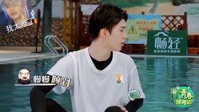 吃瓜娱乐圈杨迪是谁啊,娱乐圈的“吃瓜达人”揭秘