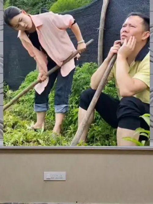 娱乐八卦吃瓜群众的,揭秘吃瓜群众的八卦盛宴