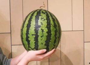 广州市吃瓜娱乐公司地址,探寻都市娱乐新地标