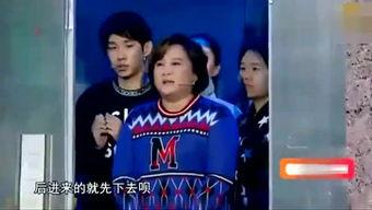 娱乐综艺吃瓜仔,吃瓜仔带你探秘明星幕后生活