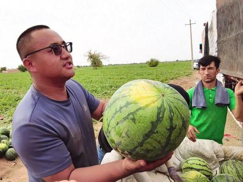 吃瓜娱乐图片大全大图,吃瓜娱乐图片大全大图揭秘