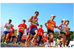 娱乐吃瓜酱鸭子跑马拉松,吃瓜酱鸭子跑马记