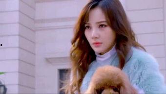 娱乐吃瓜直播讲故事是真的吗,娱乐故事背后的真实与虚构  第2张